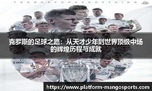 芒果体育官网入口