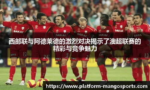 芒果体育官网入口