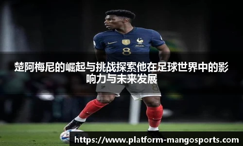 芒果体育官网入口