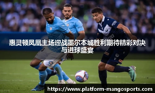 芒果体育官网入口