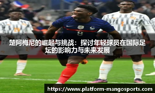 芒果体育平台