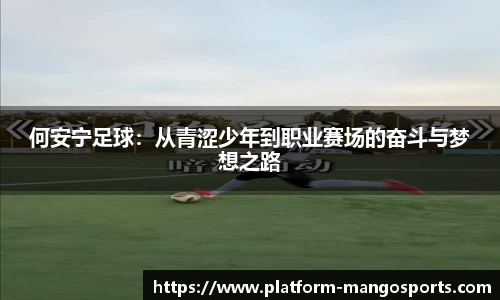 芒果体育官网入口