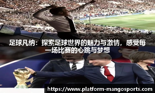 芒果体育官网入口